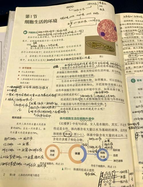 什么是生活细胞