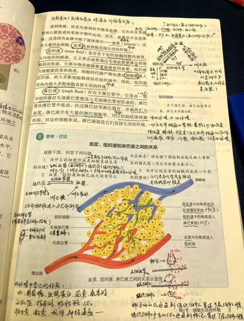 什么是生活细胞