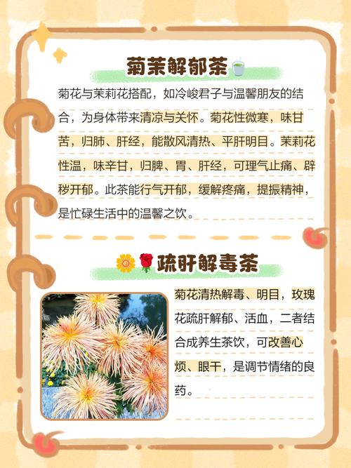 菊花加什么减肥