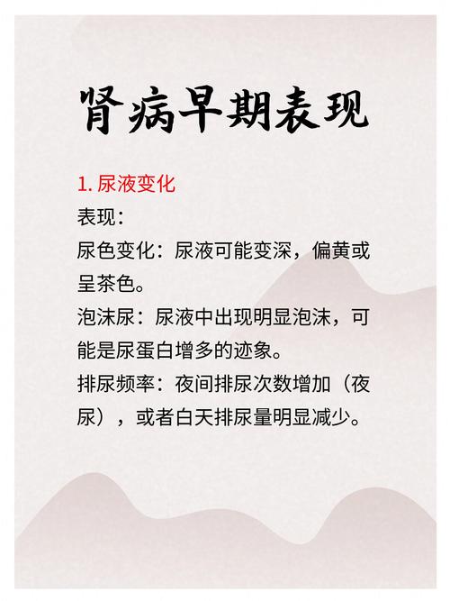 肾炎什么引起