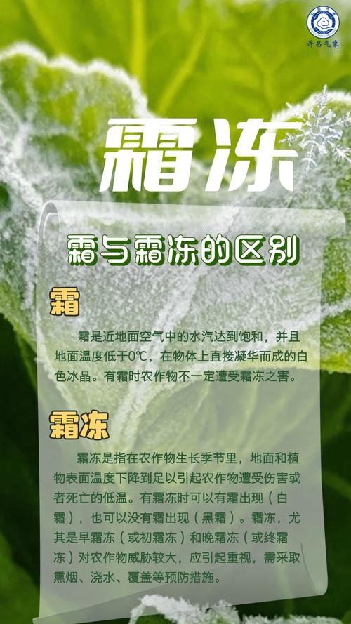 霜代表什么