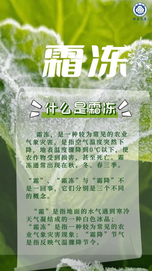 霜代表什么