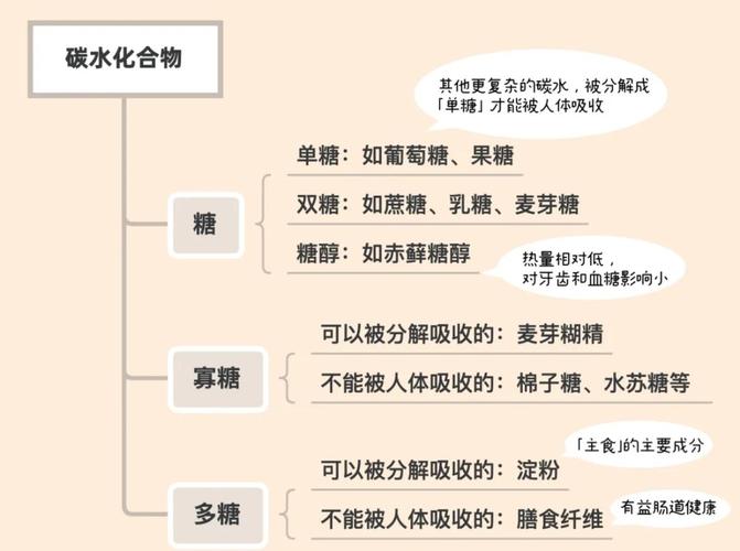 碳水化合物包括什么