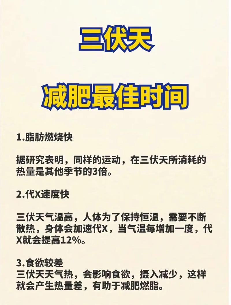 减肥滞留期是什么意思