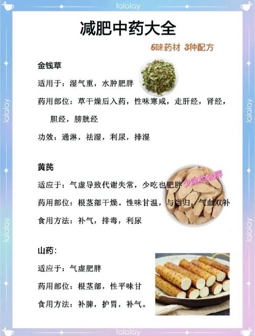 减肥应该注意哪些东西不能吃什么药
