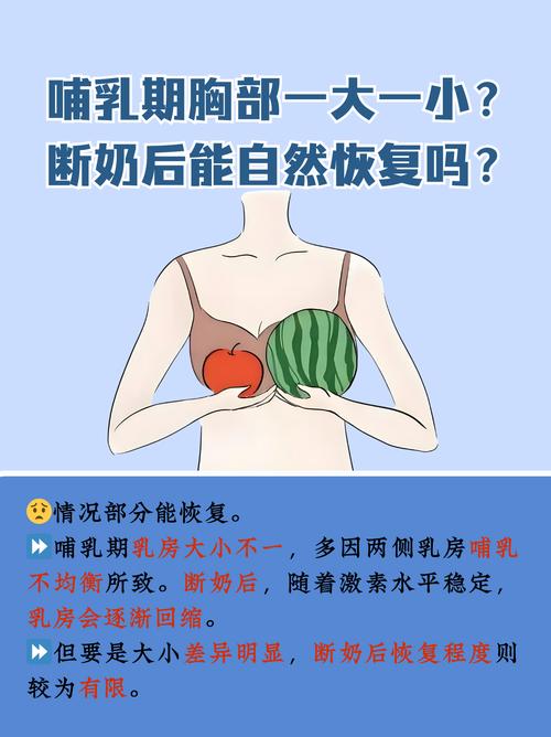 为什么胸越来越小了