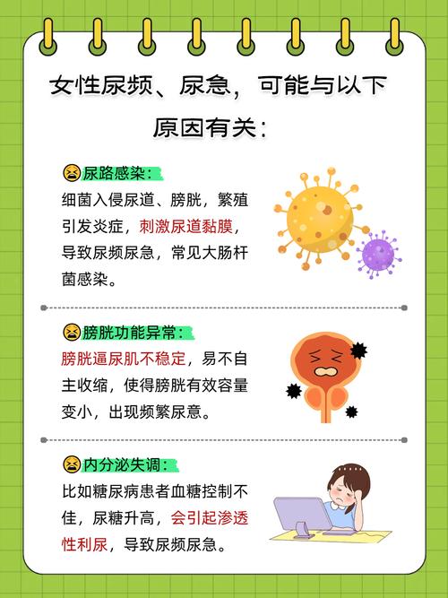 尿频繁是什么原因女