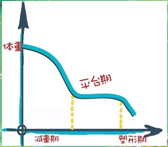 减肥瓶颈期在什么时候