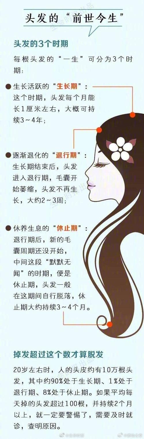 减肥后为什么会掉头发怎么办