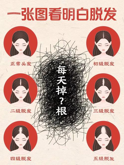 减肥后为什么会掉头发