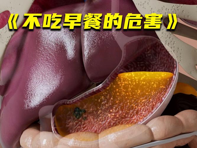 不吃早餐为什么会胖