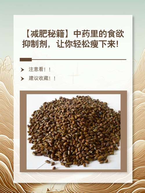 吃什么减肥药抑制食欲
