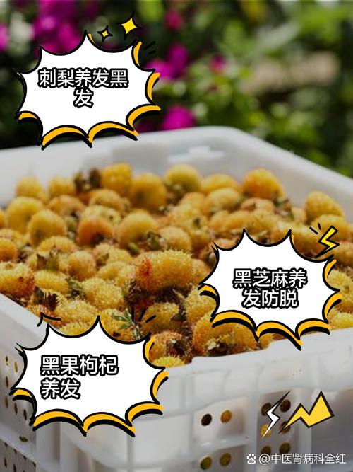 吃什么可以生头发