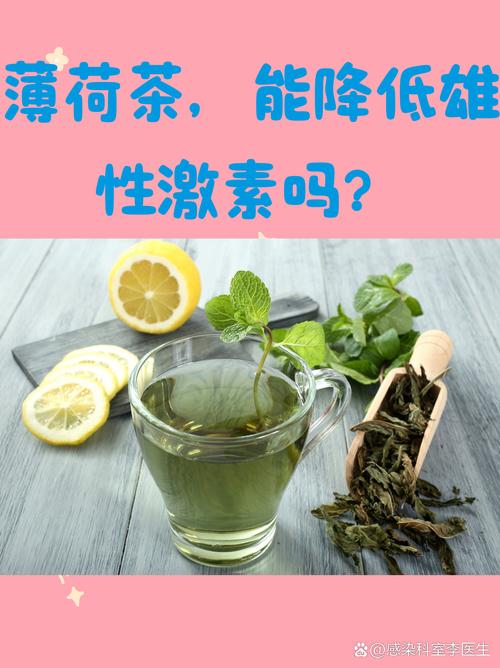 薄荷和什么泡水喝减肥