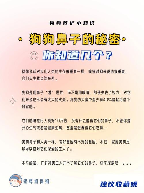 大鼻子有什么好处