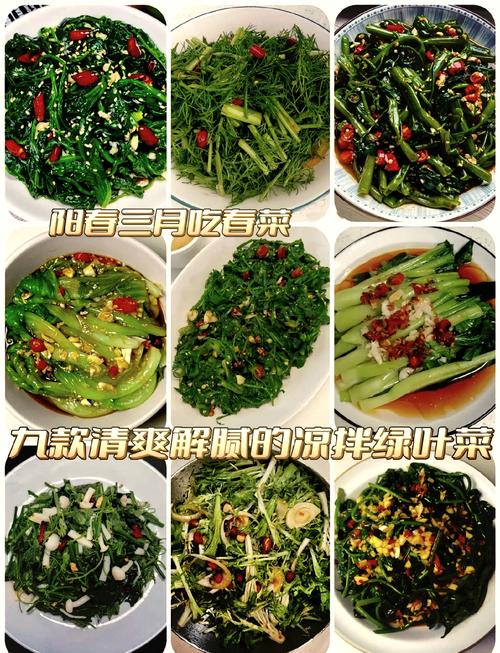 减肥青菜能拌什么调料