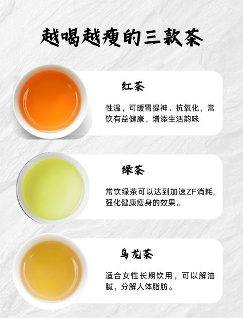 什么茶性温还减肥
