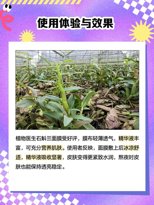植物医生兰花免洗面膜怎么样
