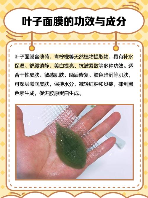 植物叶子面膜怎么样价格多少钱