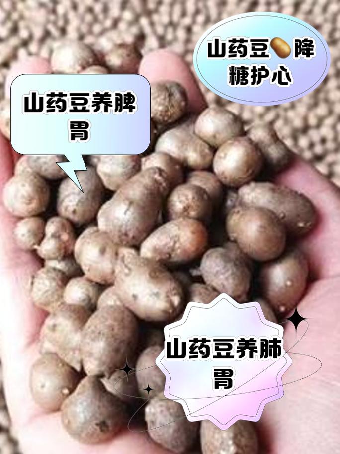 吃山药豆有什么好处