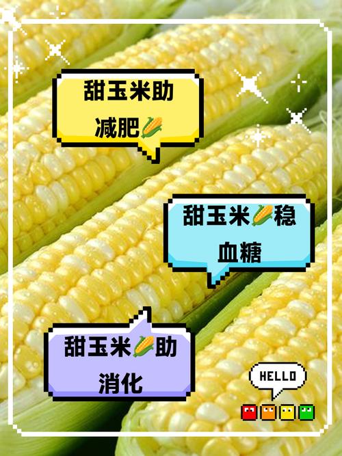 玉米和什么减肥