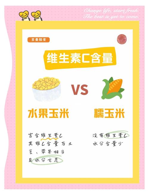 玉米和什么减肥