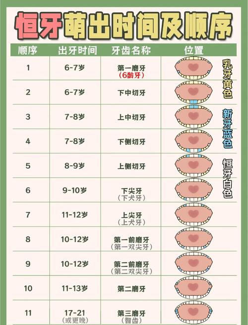 上门牙什么时候换