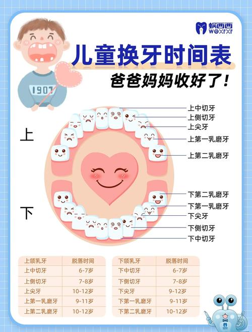 上门牙什么时候换