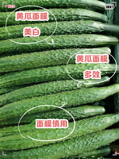 用黄瓜和番茄做面膜怎么样