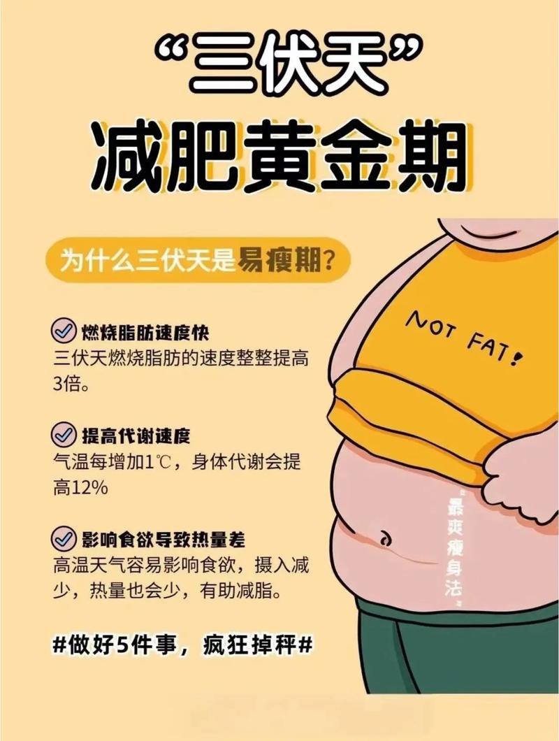 夏季减肥要注意什么