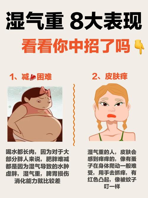 为什么湿气重难减肥