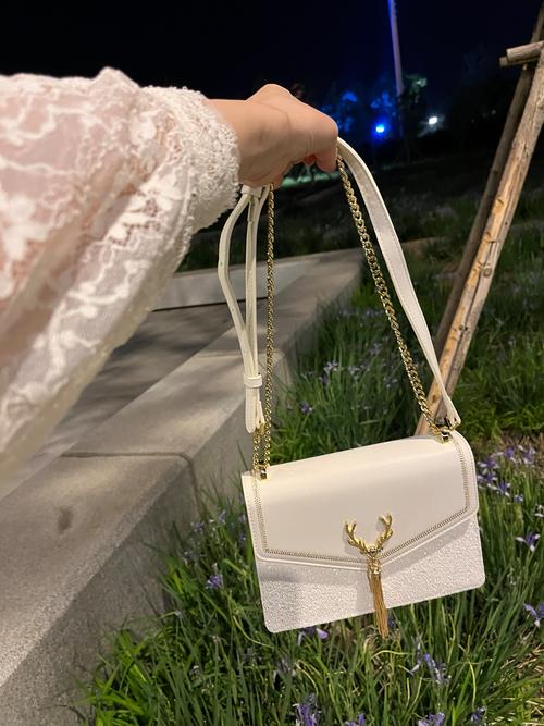 白色大包包怎么搭配衣服图片大全