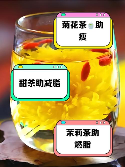 晚饭喝什么茶减肥吗