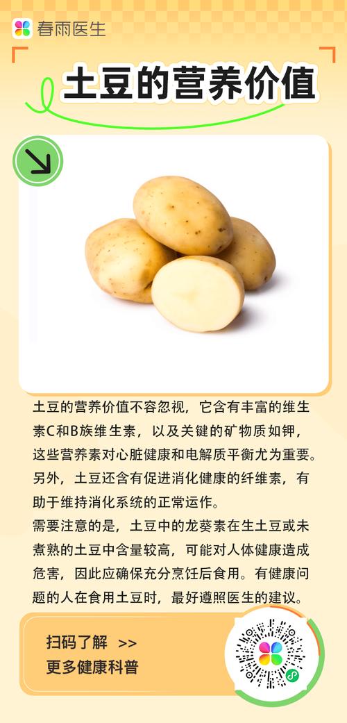 土豆什么时间吃能减肥效果好