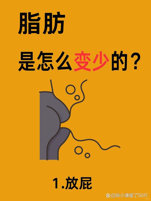 为什么有脂肪