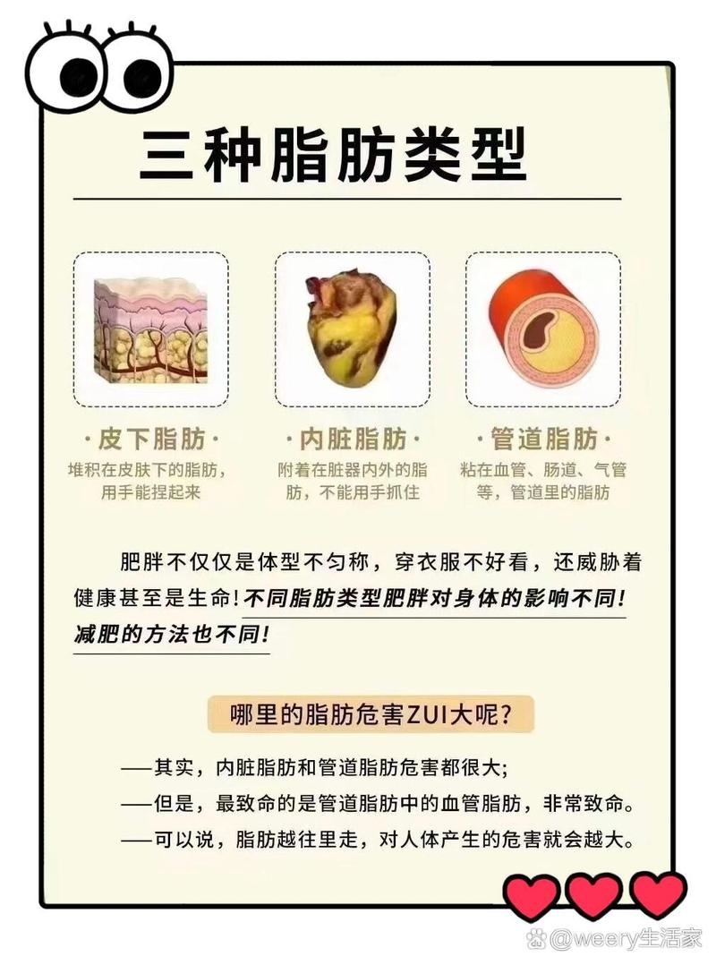 为什么有脂肪