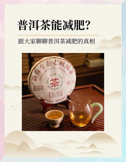 普洱茶什么时间喝减肥