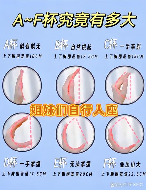 为什么胸大小不一样