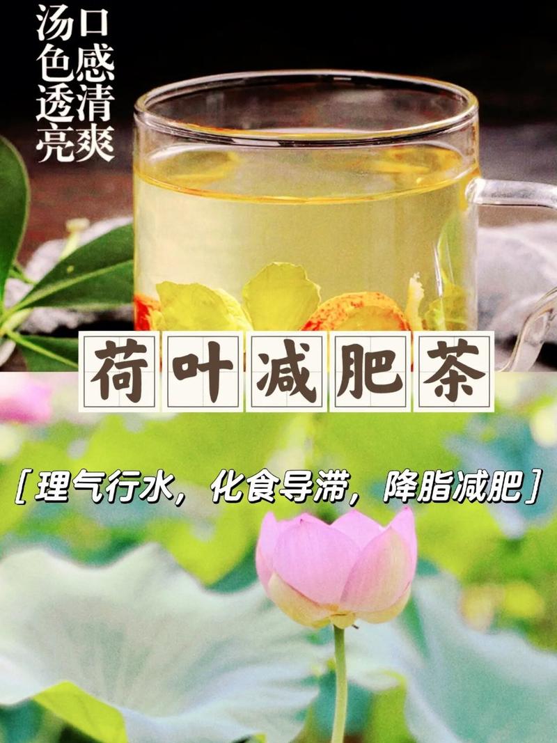 中药里面减肥美容茶有些什么