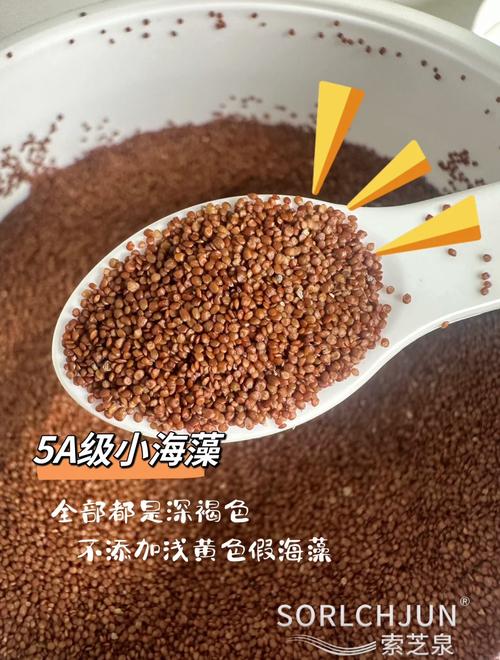 海藻面膜是什么做的
