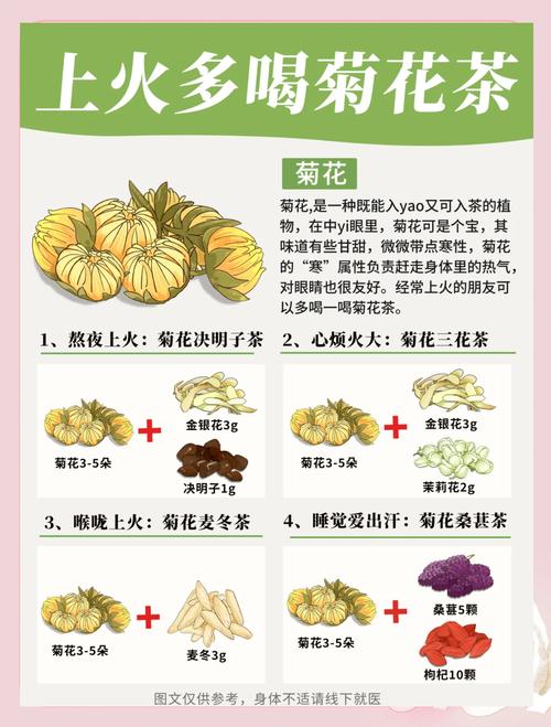 菊花和什么泡茶减肥