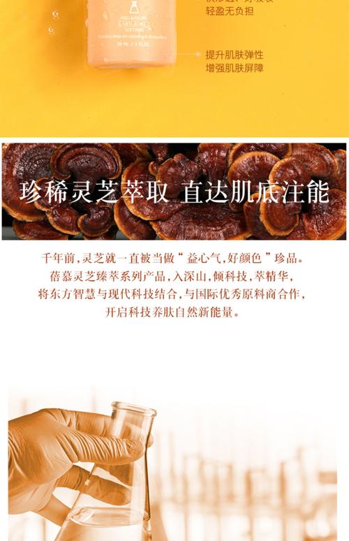 臻萃什么意思