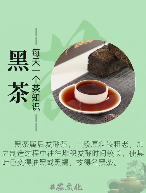 喝什么黑茶减肥吗