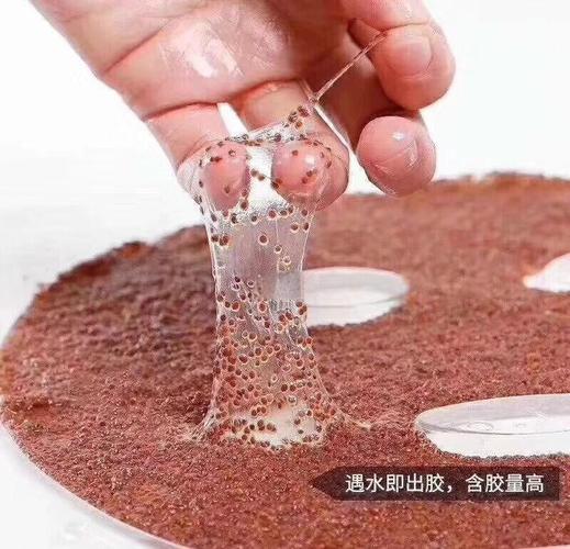 美天美悦海藻面膜怎么样