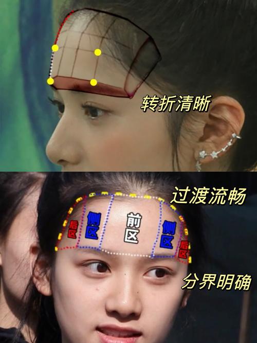 什么是额部
