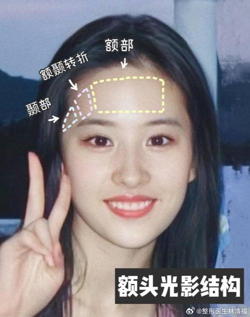 什么是额部
