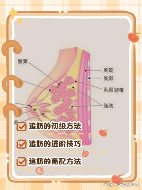 为什么乳房软