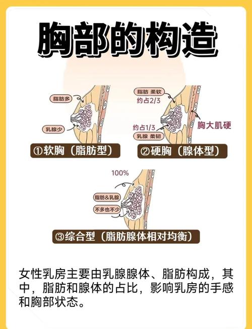为什么乳房软