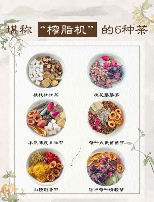 喝什么茶比较减肥
