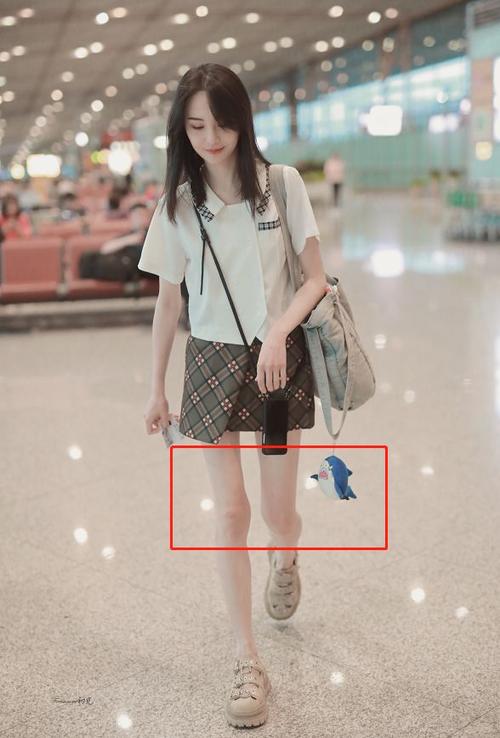 郑爽为什么要减肥